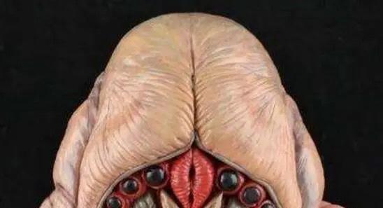 ӰҕƷᵽʬʲô挍ڵĆʺɣ