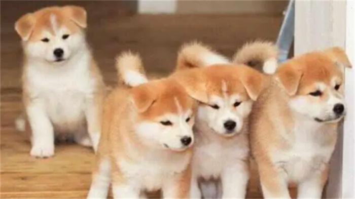 ό\Ą(dng)ЩȮ