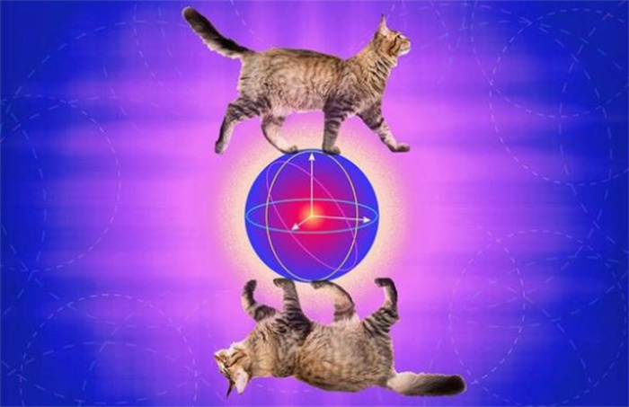 ѽƌWC oܵՓƌWՓ