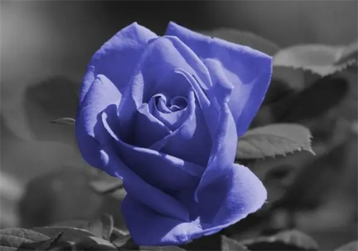 @ФV˚gӭֵه