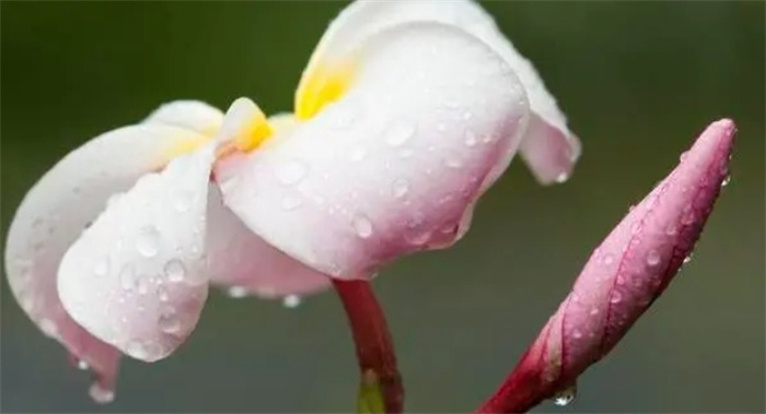 Ը^ֱˬ3Фĺsyõ؈(bo)Фu