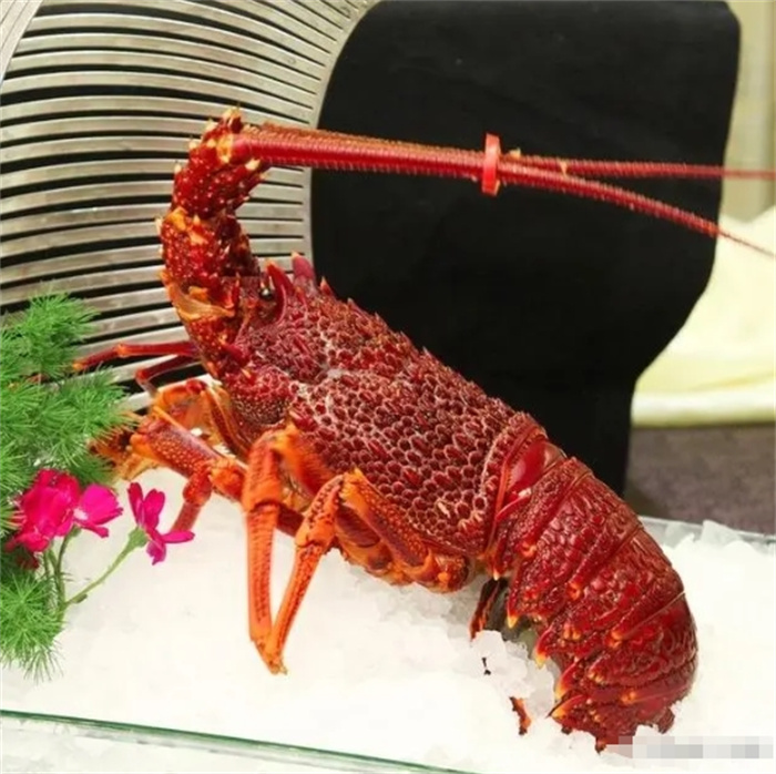 ȫʮr(ji)r҇(gu)NϰһNQˮS