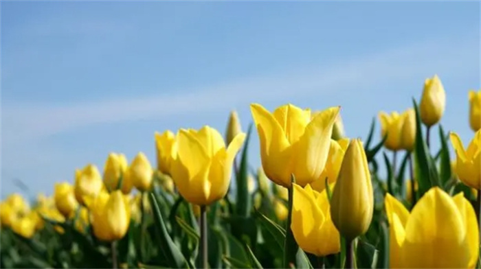 @3ФŮӑϲؔ\Ȣ󸻴F
