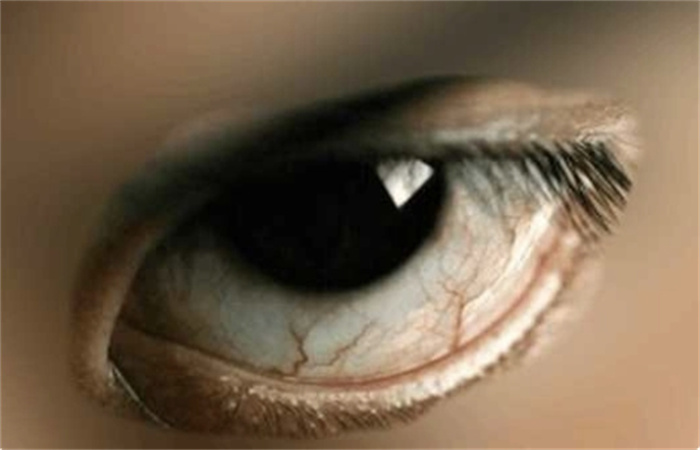 @N˿޿˻؝xx޽o@N
