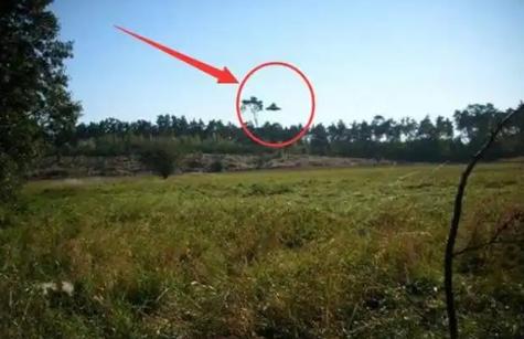 ذl(f)2011726UFOP(gun)¼Щ