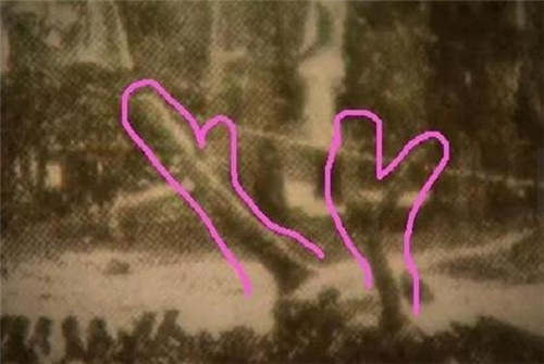 Iډ¼Ć _1934Iډ¼