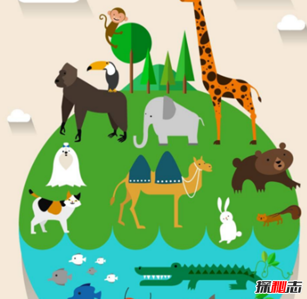 地表最強(qiáng)壯的十大動物 老虎獅子僅排第二第三
