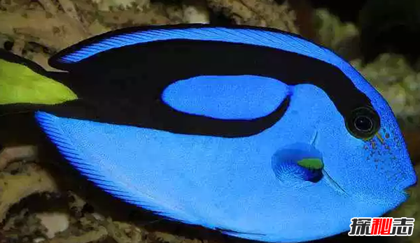 ʮN~ ڶrF,\(D)