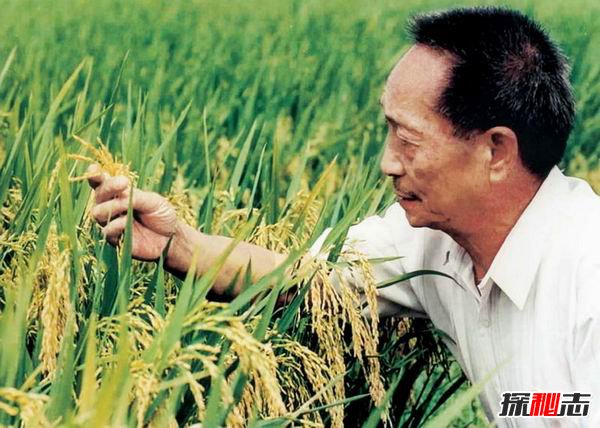 中國(guó)哪些技術(shù)世界第一?十項(xiàng)技術(shù)領(lǐng)先位于世界前列