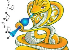һ݅ӵĿǣ@Ҫh(yun)֮t󻼟oF