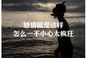 2018 ĸǰʮfɢɢ(wn)Ӱ(ߜI)