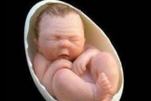 ֮iɵԭʼ(6(g)3(g)·)