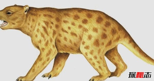 世界上什么動物滅絕了?已滅絕的十大罕見動物(幸好)