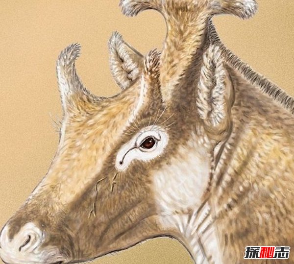 古代十大恐怖嚇人的動物 幸好都已經(jīng)滅絕了(忐忑不安)