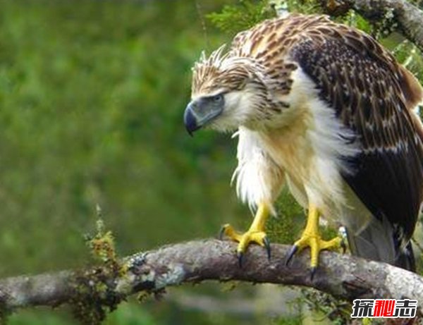 Ă?ʮ݌()
