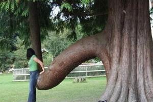 ֳķʽ̫ˣ^̐Ůa(chn)̫ʹ