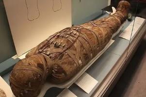 ŰжؿֲʬwľüS