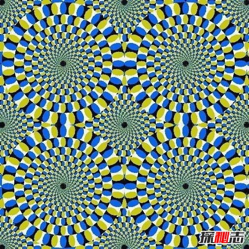 W(xu)50?jin)DƬ50(g)(zhn)y(c)ԇD,(zhn)@