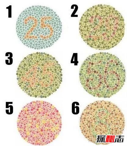 W(xu)50?jin)DƬ50(g)(zhn)y(c)ԇD,(zhn)@