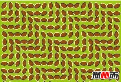 W(xu)50?jin)DƬ50(g)(zhn)yԇD,(zhn)@