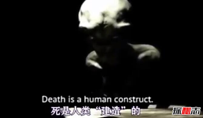 美國抓獲未來人,自稱來自平行世界的灰人(審問視頻曝光)