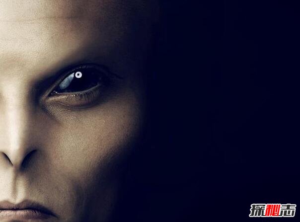 ǱO(sh)Ӌ(j)ƌW(xu)DNAаl(f)F(xin)