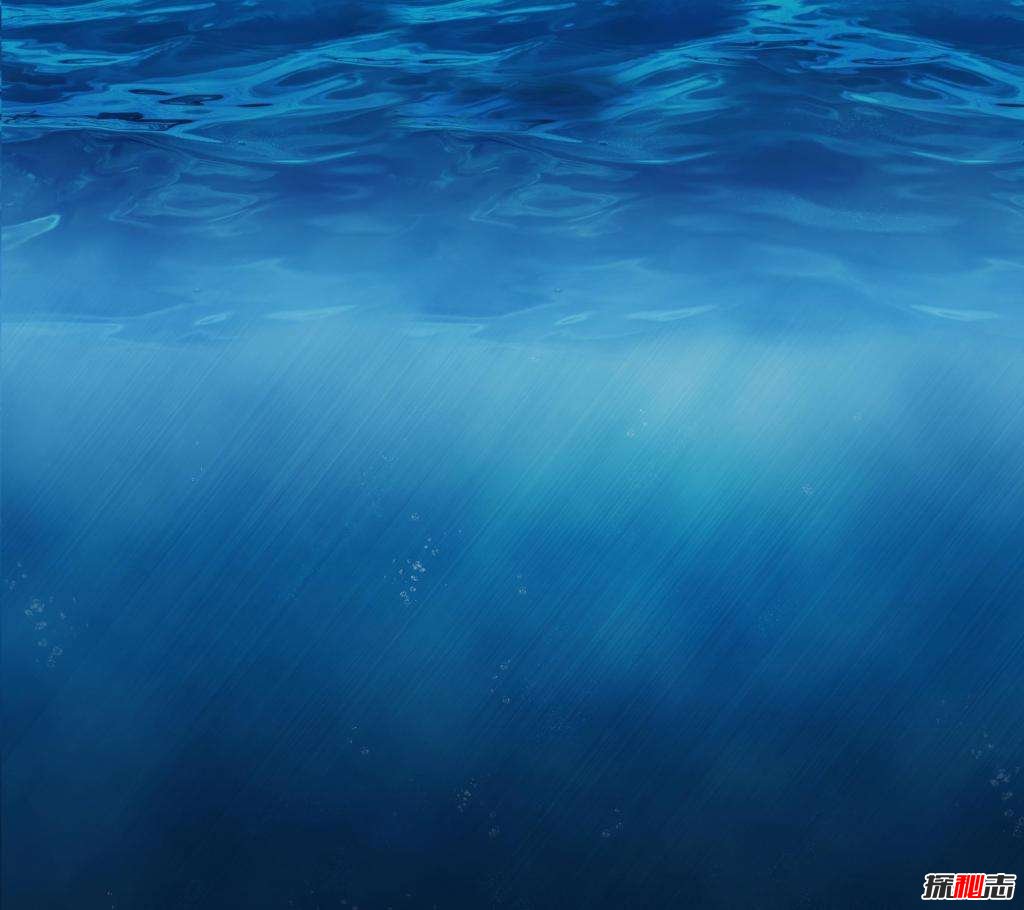 ʲô̽,_(d)Ƕ(10916)