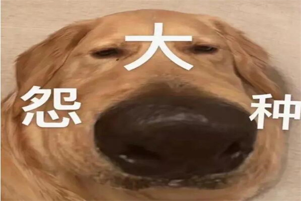 ԩNʲô˼?ָԩ옷(l)(|)