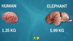 ǵ(hu)ӛĄ(dng)߀Щ(dng)(hu)ӛ