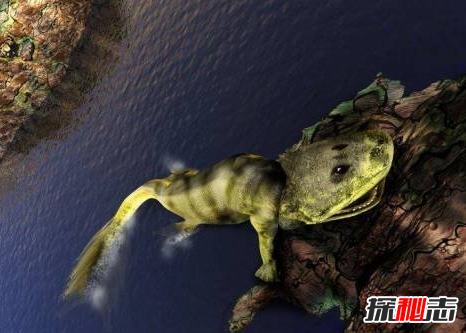 遠(yuǎn)古十大兇獸史前巨獸,揭秘史前最危險(xiǎn)的十大巨獸