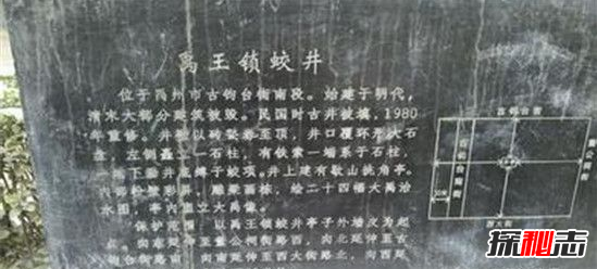 鎖龍井拍到的龍頭圖片