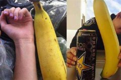 L(zhng)㽶Nʲô ţ㽶60cm
