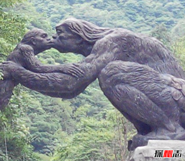 湖北神農(nóng)架動(dòng)物白化之謎,黑色素引起的白化病(返祖白變)