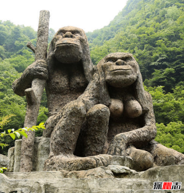 湖北神農(nóng)架動(dòng)物白化之謎,黑色素引起的白化病(返祖白變)