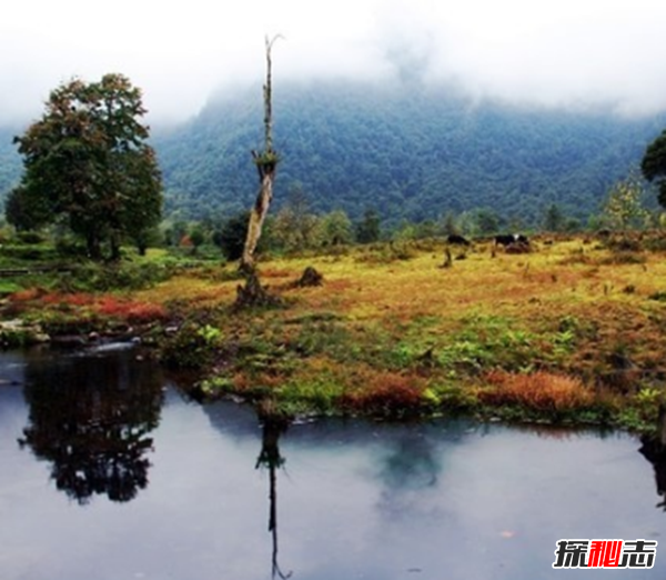 中國(guó)十大靈異之地,昆侖山死亡谷通往地獄之門(mén)