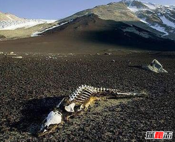 中國(guó)十大靈異之地,昆侖山死亡谷通往地獄之門(mén)