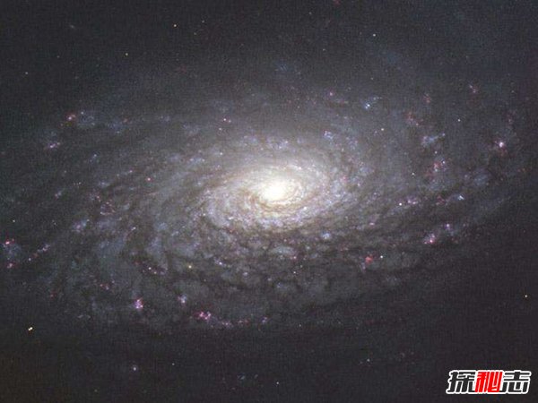 向日葵星系之謎,竟可以恐怖吞噬其它小星系