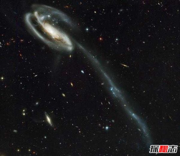 蝌蚪星系之謎, 蝌蚪星系竟然是宇宙中的活化石