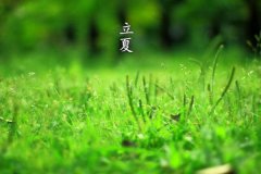 һ(g)(ji)ʲô?ļһ(g)(ji)()