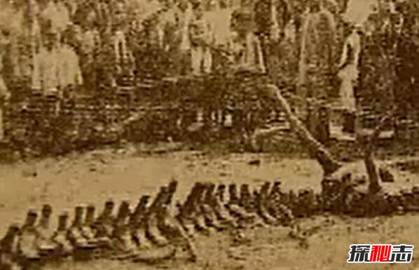 1934|Iډ¼ĆᣬC(j)ձ˱I