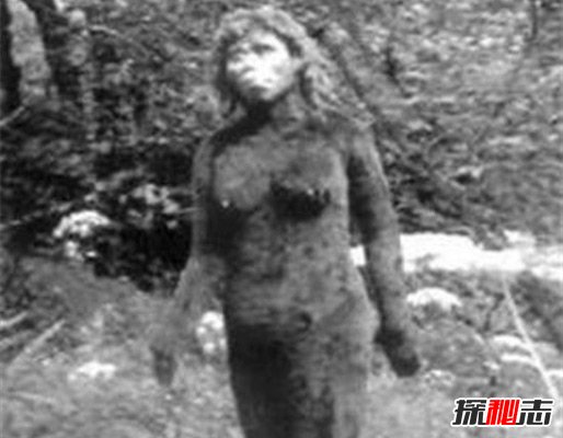 神農(nóng)架野人