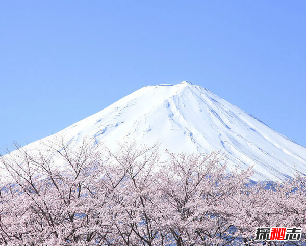 富士山下為什么恐怖?自殺死亡人數(shù)成百上千