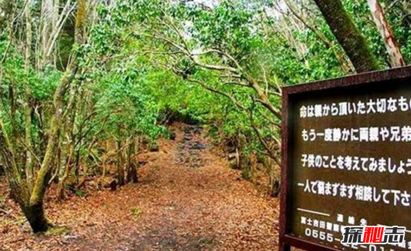 富士山下為什么恐怖?自殺死亡人數(shù)成百上千