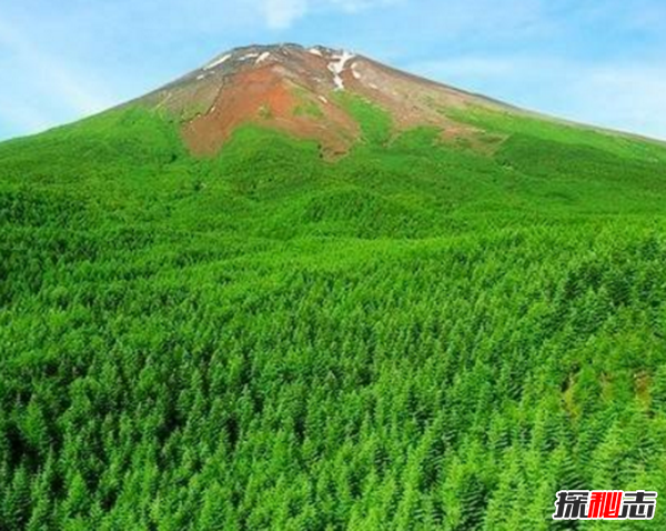富士山下為什么恐怖?自殺死亡人數(shù)成百上千