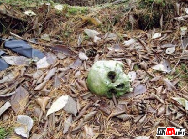富士山下為什么恐怖?自殺死亡人數(shù)成百上千