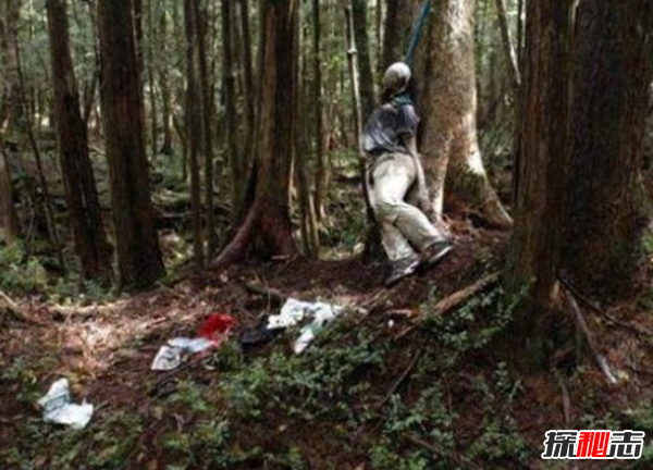 富士山下為什么恐怖?自殺死亡人數(shù)成百上千