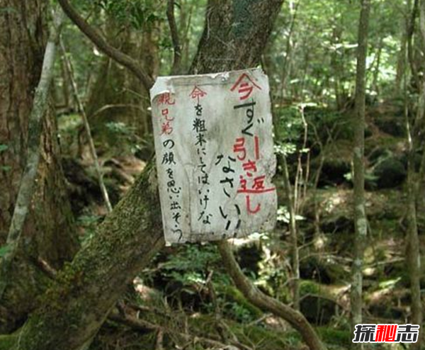 富士山下為什么恐怖?自殺死亡人數(shù)成百上千