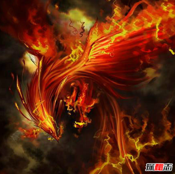 ŴPָʲô?f(shu)еPDƬ(N|ڻɫP)