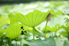 Сһ(g)(ji)ʲô?wǎգ