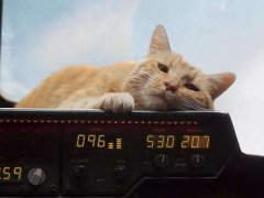 @(du)L(zhng)ԪFж(qing)?θһ(g)Sȿ
